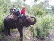 ell-elephant-trekking-phuket-taxi-2_enl